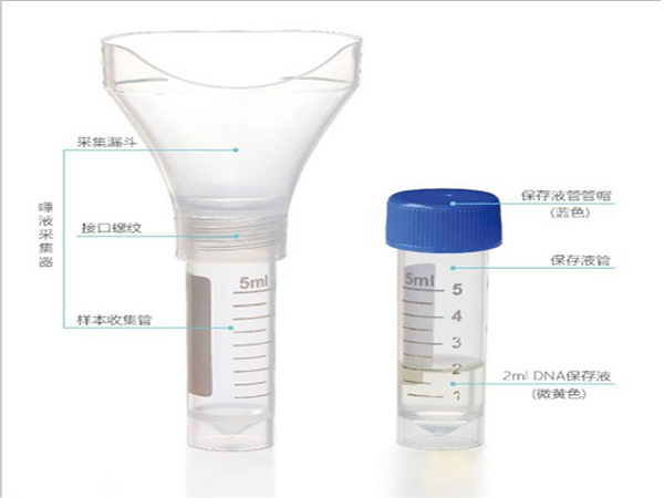 核酸檢測唾液采集器漏斗的用途